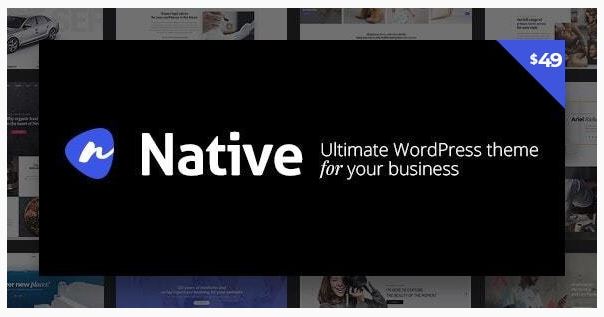 Native Stylish Multi-Purpose Creative WP Theme Native Stylish Multi-Purpose Creative WP Theme