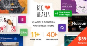 BigHearts Charity & Donation WordPress Theme BigHearts Charity & Donation WordPress Theme