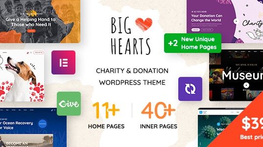 BigHearts Charity & Donation WordPress Theme BigHearts Charity & Donation WordPress Theme