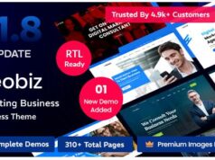 Reobiz v6.0.3 Consulting Business WordPress Theme reobiz-consulting-business-wordpress-theme