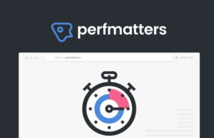 Perfmatters v2.1.0 Lightweight Performance Plugin Perfmatters v2 2 1 Lightweight Performance Plugin